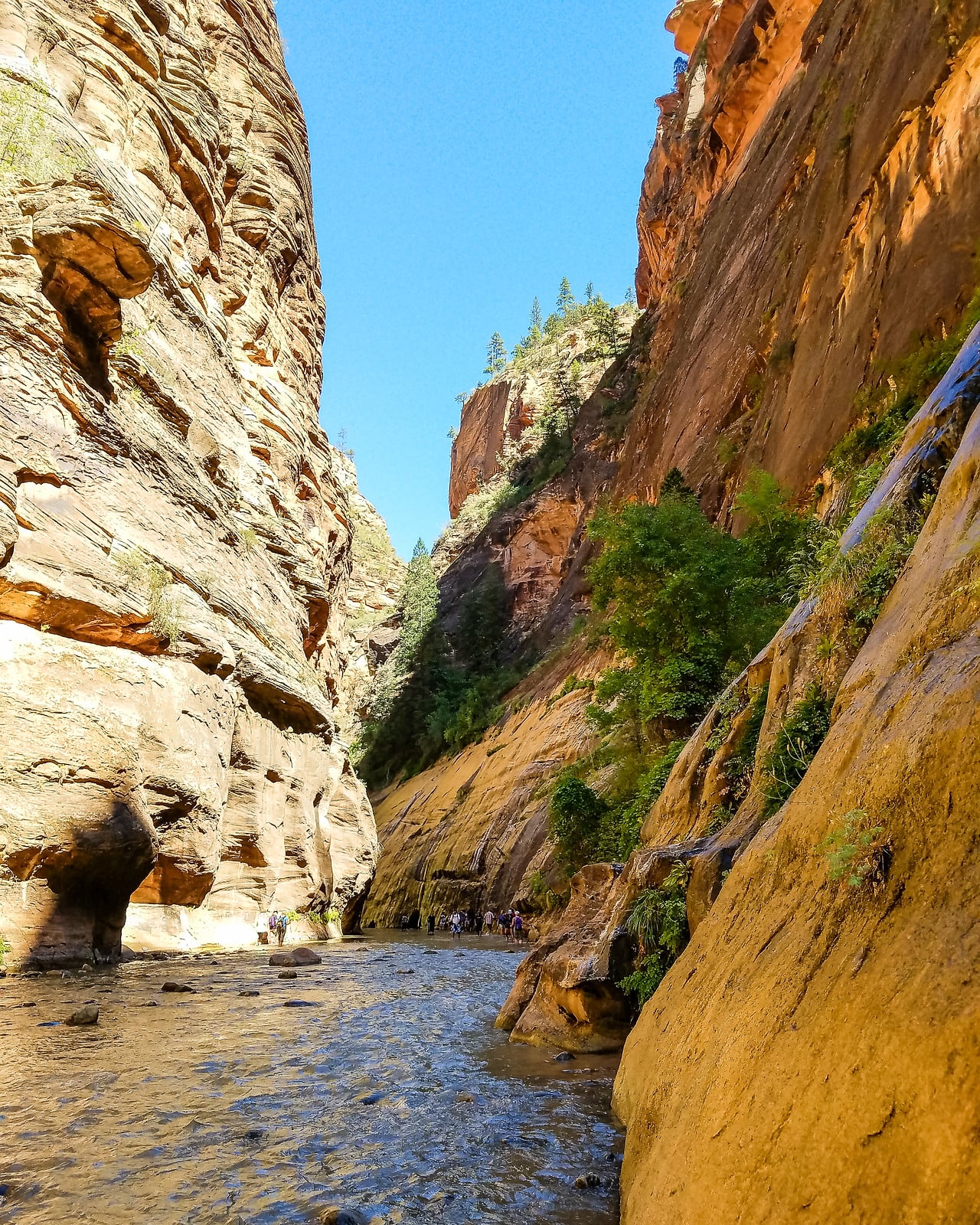 The Narrows