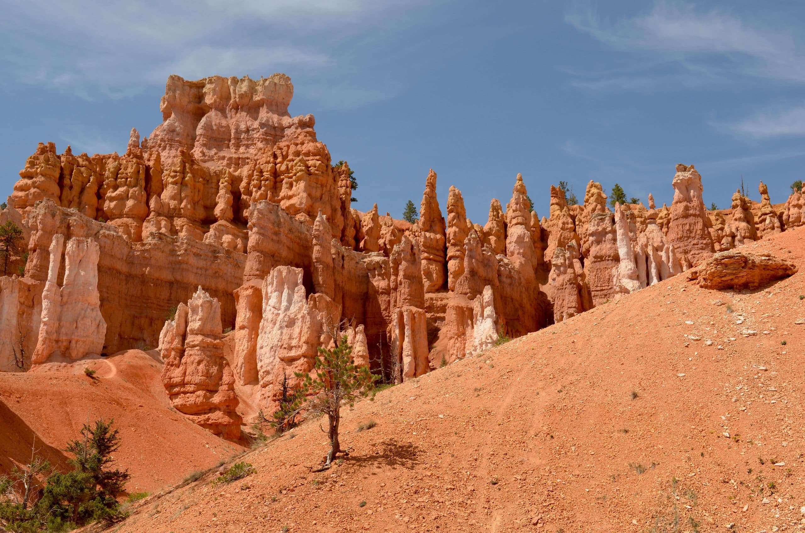 Navajo Loop Trail im Bryce Canyon