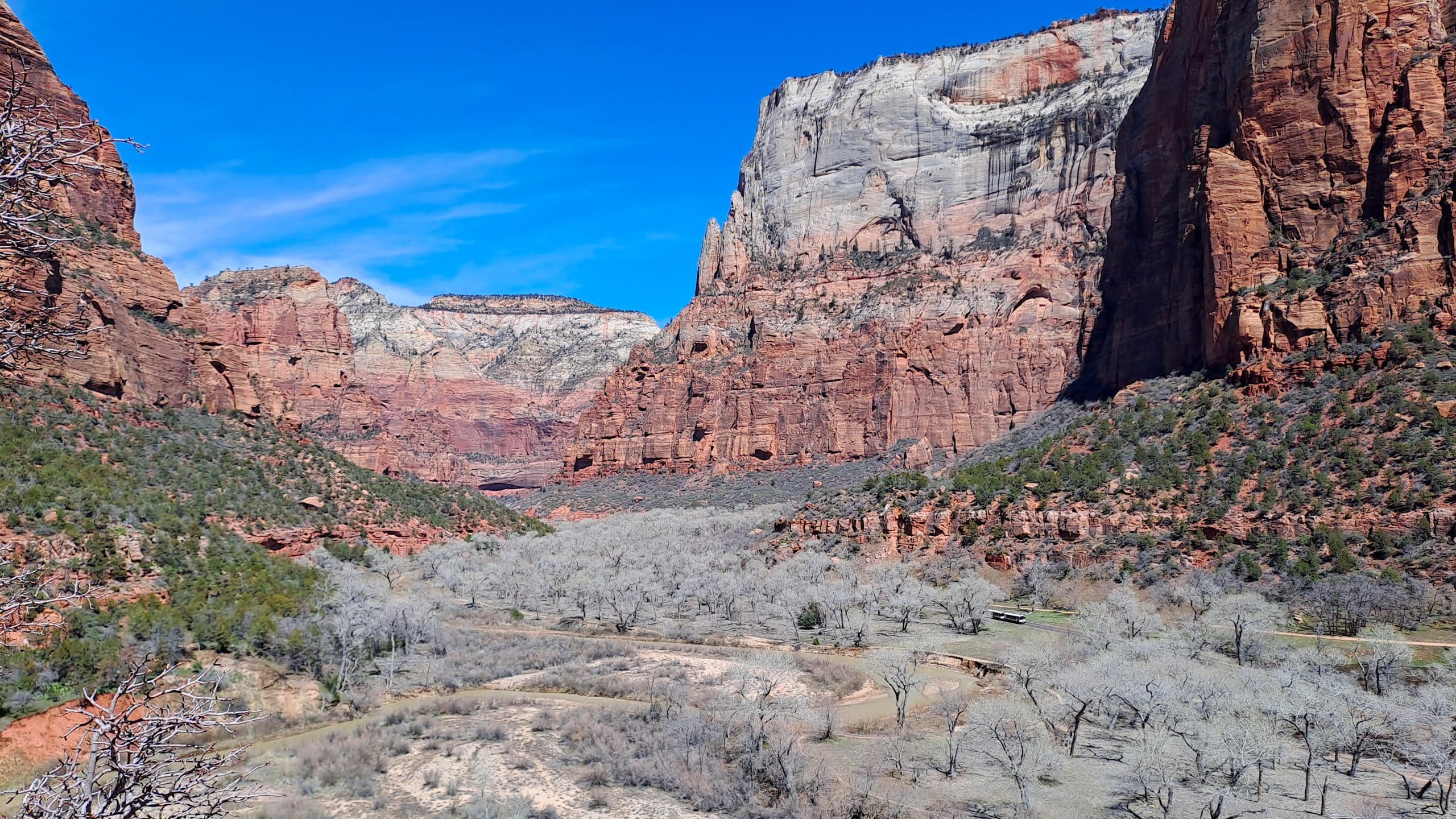 Blick in den Zion Canyon auf dem Emerald Pools Trail