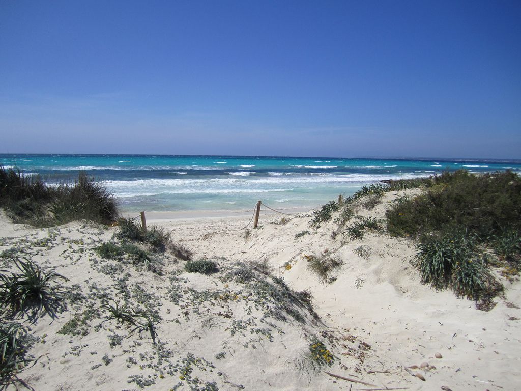 Strand Es Trenc