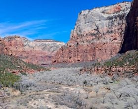 Zion Nationalpark - Tipps und Infos zum Besuch