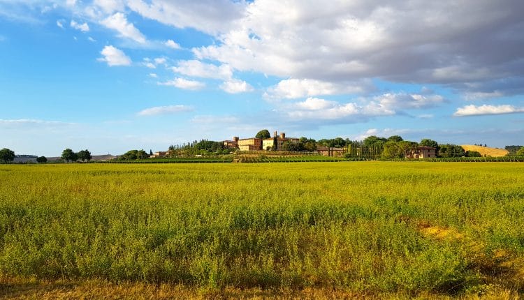 Weingut Landschaft
