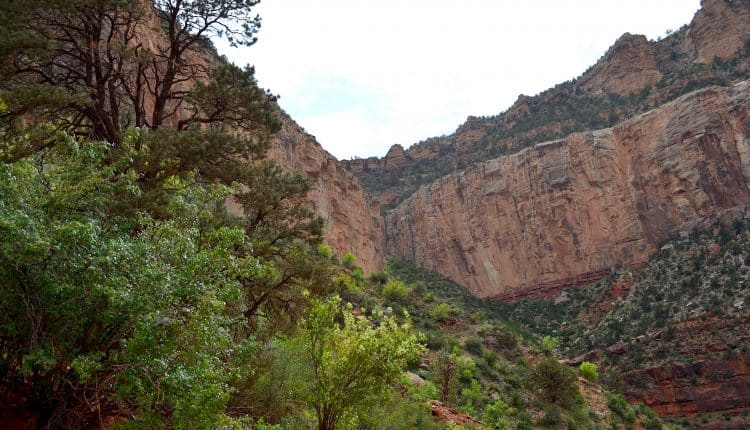 Bright Angel Trail