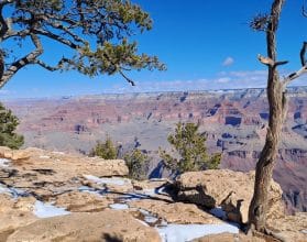 Den Grand Canyon an einem Tag besuchen