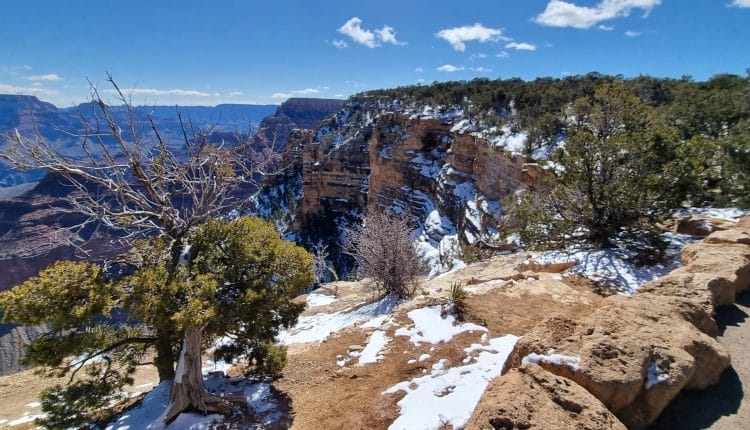 Rim Trail mit Schnee