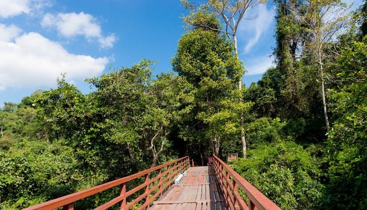 Khao Yai Nationalpark