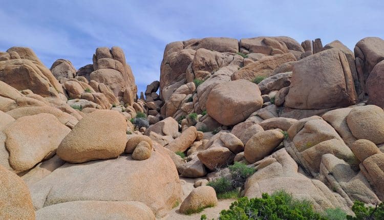 Felsen