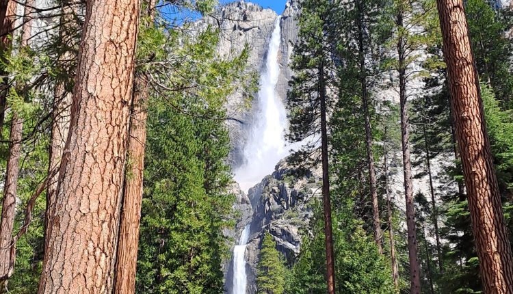 Viel Wasser kommt durch die Schneeschmelze die Yosemite Falls runter. Diesen Juni auch? Bild: climate-data.org