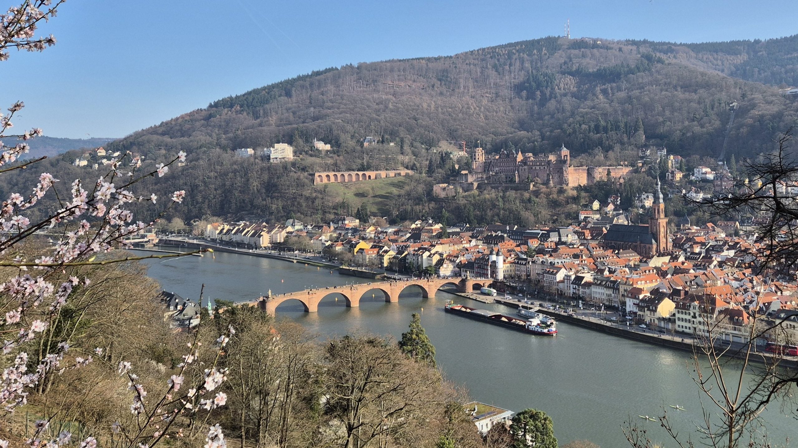 Blick auf Heidelberg, Schloss und Neckar