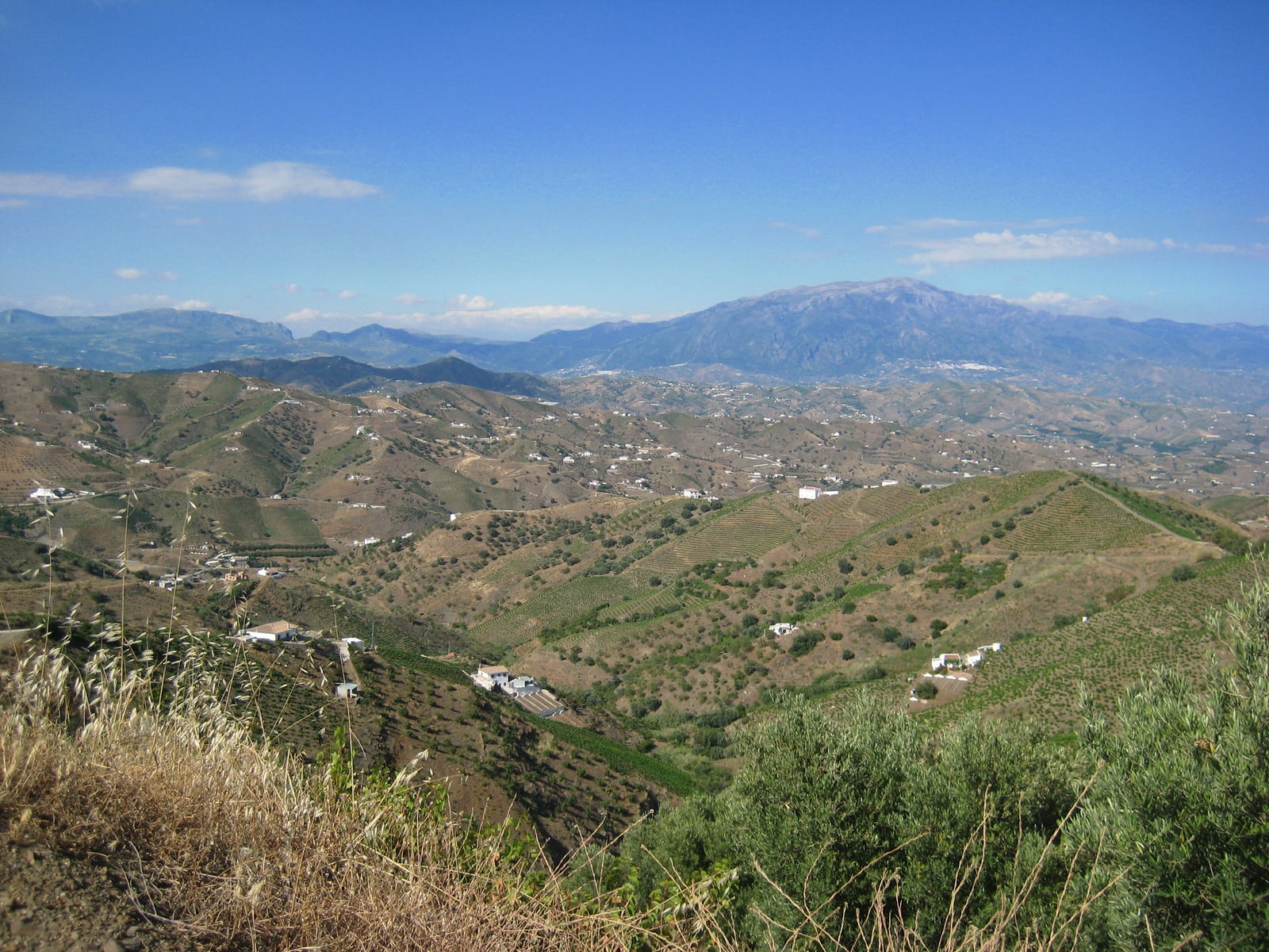 Axarquía