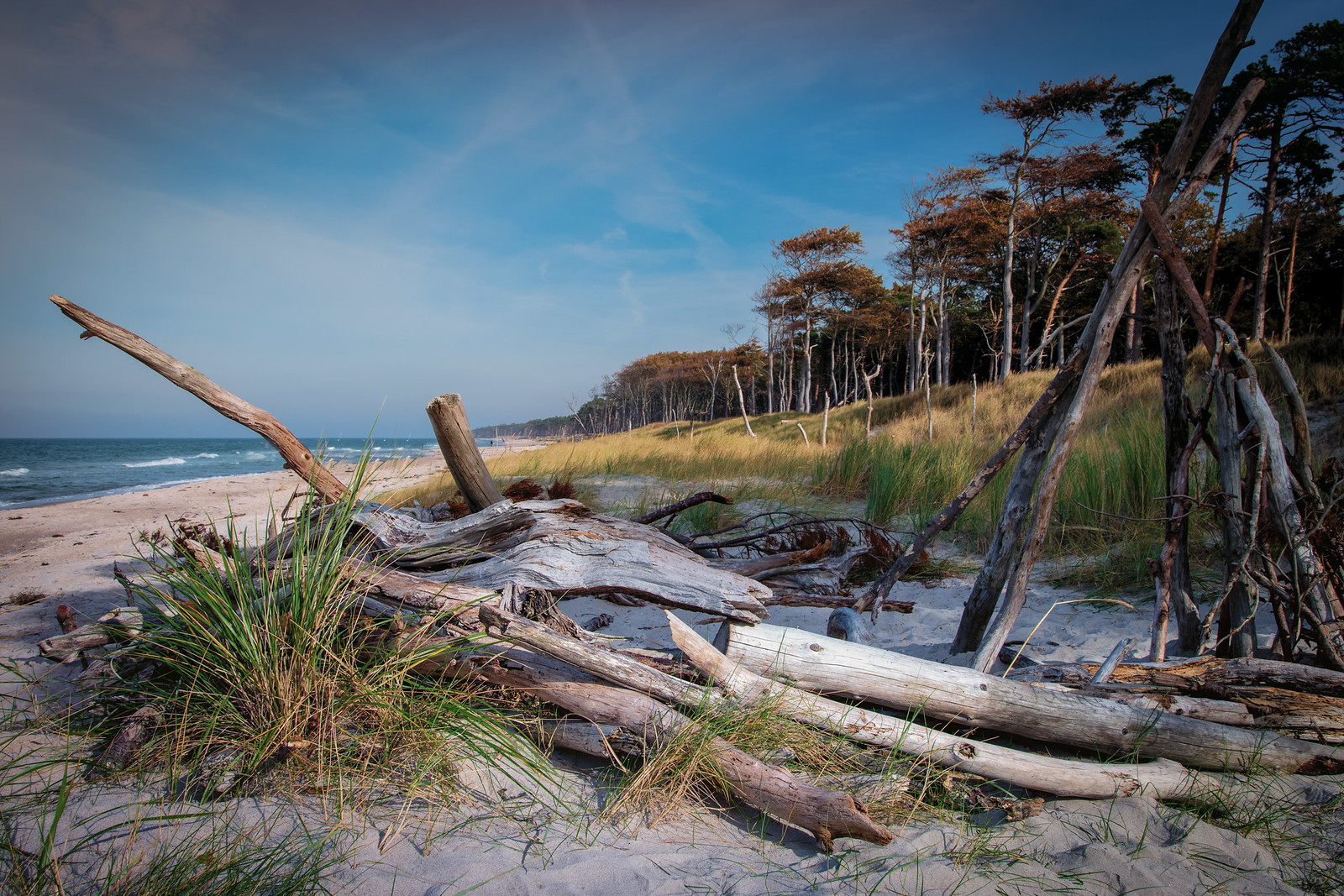 Nationalpark Vorpommersche Boddenlandschaft